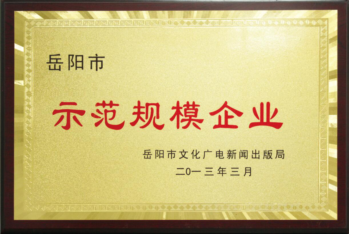 岳阳市大地印务有限公司,岳阳大地印务,印刷包装,食品包装哪里好