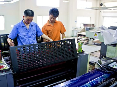 岳阳市大地印务有限公司,岳阳大地印务,印刷包装,食品包装哪里好